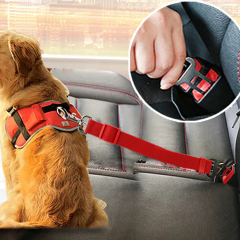 Veiligheidsriem Voor Honden – Reis In Alle Rust