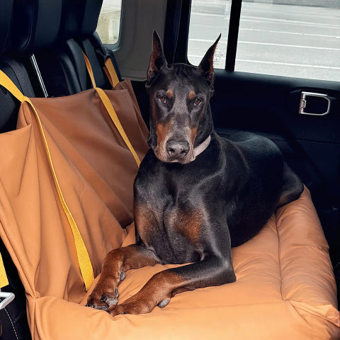 Hond Auto Kussen - Bescherming En Zachtheid Onderweg