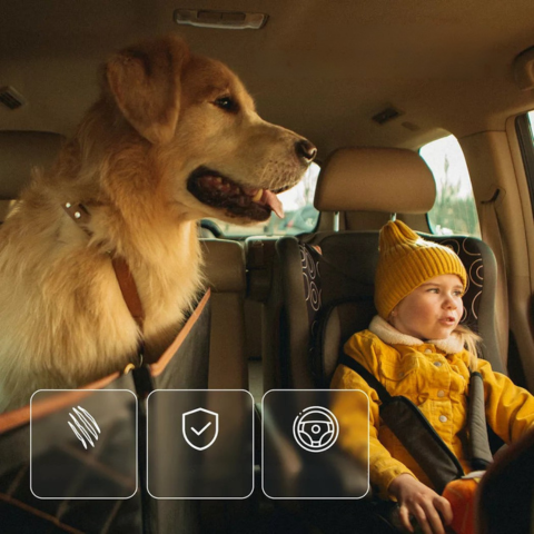 Přehoz na auto pro psa — Komfort a bezpečnost každý den