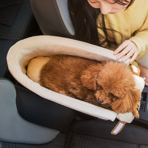 Auto-Sitz für Tiere — Sicherer und bequemer Transport 