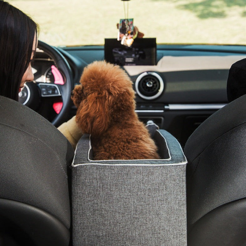 Auto-Sitz für Tiere — Sicherer und bequemer Transport 
