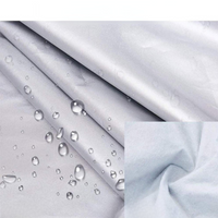 Windshield Protector For Car — Frost Protection 