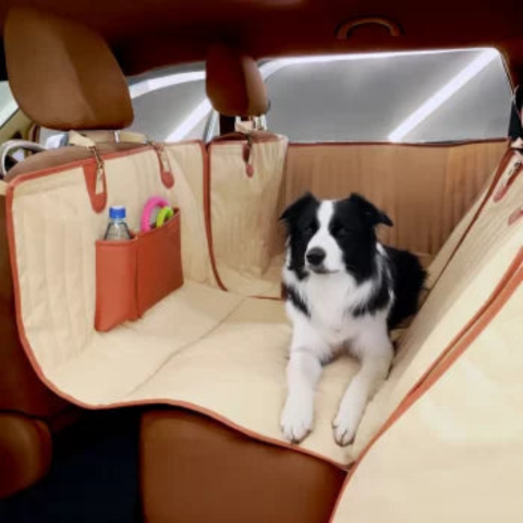 Housse De Siège Voiture Pour Chien — Confort & Sécurité Au Quotidien