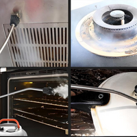 Hochdruckdampfreiniger 2800W – Praktisch und Effizient 